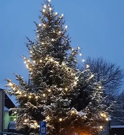 Apartment Zur Alten Schmiede - Breitenbrunn/erzgebirge *